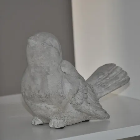 Appartement Le Nid Des Halles, Au Cœur Du Boulingrin